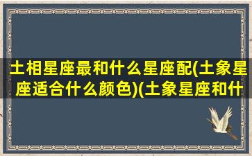 土相星座最和什么星座配(土象星座适合什么颜色)(土象星座和什么配)