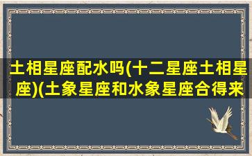 土相星座配水吗(十二星座土相星座)(土象星座和水象星座合得来吗)