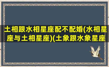 土相跟水相星座配不配婚(水相星座与土相星座)(土象跟水象星座适合谈恋爱吗)