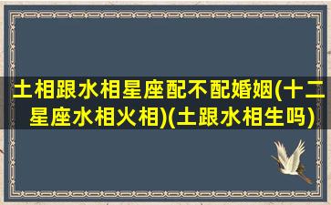 土相跟水相星座配不配婚姻(十二星座水相火相)(土跟水相生吗)