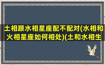 土相跟水相星座配不配对(水相和火相星座如何相处)(土和水相生)