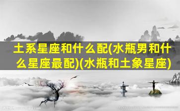 土系星座和什么配(水瓶男和什么星座最配)(水瓶和土象星座)