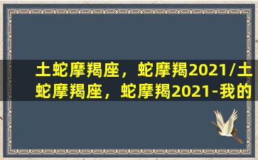 土蛇摩羯座，蛇摩羯2021/土蛇摩羯座，蛇摩羯2021-我的网站(生肖蛇星座摩羯)