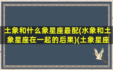 土象和什么象星座最配(水象和土象星座在一起的后果)(土象星座跟水象星座合得来吗)