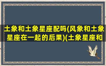 土象和土象星座配吗(风象和土象星座在一起的后果)(土象星座和风象星座合得来吗)