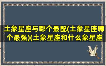 土象星座与哪个最配(土象星座哪个最强)(土象星座和什么象星座最配)