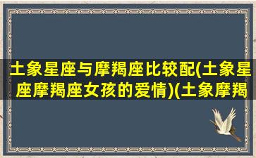 土象星座与摩羯座比较配(土象星座摩羯座女孩的爱情)(土象摩羯是什么意思)