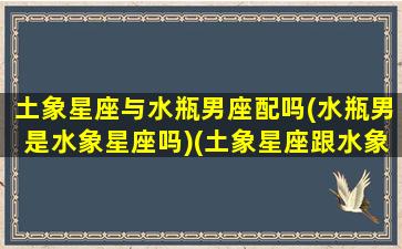 土象星座与水瓶男座配吗(水瓶男是水象星座吗)(土象星座跟水象星座配吗)