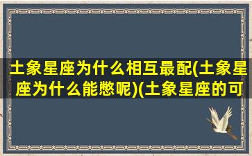 土象星座为什么相互最配(土象星座为什么能憋呢)(土象星座的可怕之处)