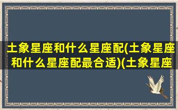 土象星座和什么星座配(土象星座和什么星座配最合适)(土象星座适合在一起吗)