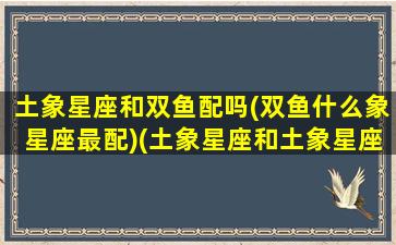 土象星座和双鱼配吗(双鱼什么象星座最配)(土象星座和土象星座在一起合适吗)