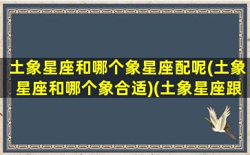 土象星座和哪个象星座配呢(土象星座和哪个象合适)(土象星座跟什么星座最配)