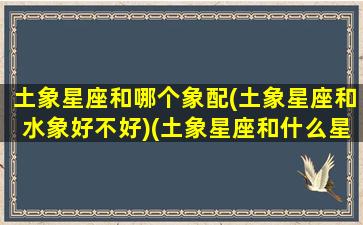 土象星座和哪个象配(土象星座和水象好不好)(土象星座和什么星座合适)