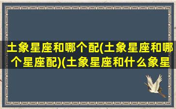 土象星座和哪个配(土象星座和哪个星座配)(土象星座和什么象星座最配)