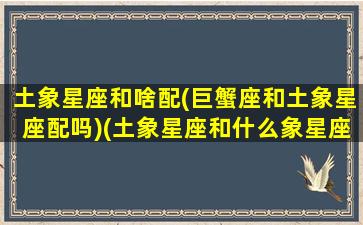 土象星座和啥配(巨蟹座和土象星座配吗)(土象星座和什么象星座最配)