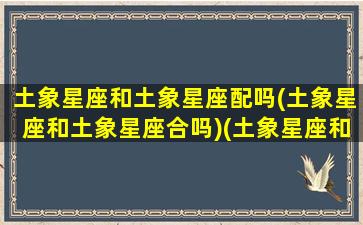 土象星座和土象星座配吗(土象星座和土象星座合吗)(土象星座和什么星座合得来)