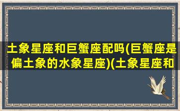 土象星座和巨蟹座配吗(巨蟹座是偏土象的水象星座)(土象星座和土象星座恋爱)