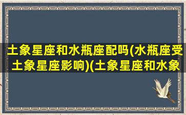 土象星座和水瓶座配吗(水瓶座受土象星座影响)(土象星座和水象星座能够相处吗)