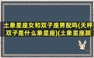 土象星座女和双子座男配吗(天秤双子是什么象星座)(土象星座跟什么星座合适)