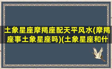 土象星座摩羯座配天平风水(摩羯座事土象星座吗)(土象星座和什么星座配摩羯座)