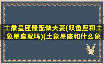 土象星座最配做夫妻(双鱼座和土象星座配吗)(土象星座和什么象星座配)