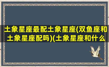 土象星座最配土象星座(双鱼座和土象星座配吗)(土象星座和什么最配)