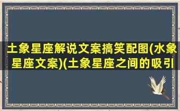 土象星座解说文案搞笑配图(水象星座文案)(土象星座之间的吸引力)