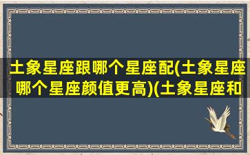 土象星座跟哪个星座配(土象星座哪个星座颜值更高)(土象星座和什么星象配)