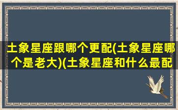 土象星座跟哪个更配(土象星座哪个是老大)(土象星座和什么最配)