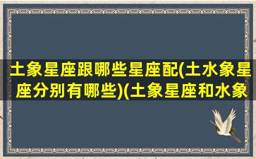 土象星座跟哪些星座配(土水象星座分别有哪些)(土象星座和水象星座合适吗)