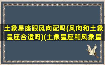 土象星座跟风向配吗(风向和土象星座合适吗)(土象星座和风象星座的爱情)