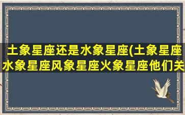 土象星座还是水象星座(土象星座水象星座风象星座火象星座他们关系好吗)