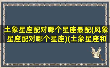 土象星座配对哪个星座最配(风象星座配对哪个星座)(土象星座和什么星象配)