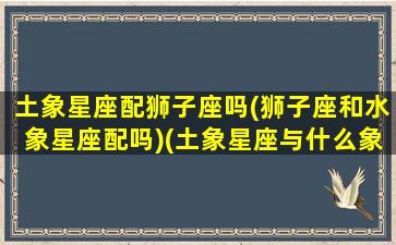 土象星座配狮子座吗(狮子座和水象星座配吗)(土象星座与什么象星座配)