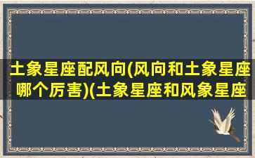 土象星座配风向(风向和土象星座哪个厉害)(土象星座和风象星座区别)