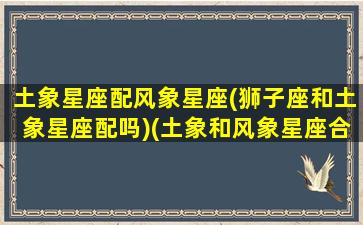 土象星座配风象星座(狮子座和土象星座配吗)(土象和风象星座合适吗)