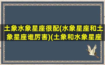 土象水象星座很配(水象星座和土象星座谁厉害)(土象和水象星座怎么样)