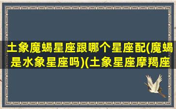 土象魔蝎星座跟哪个星座配(魔蝎是水象星座吗)(土象星座摩羯座女孩的爱情)