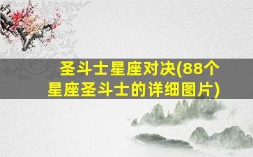 圣斗士星座对决(88个星座圣斗士的详细图片)