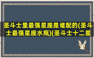 圣斗士里最强星座是谁配的(圣斗士最强星座水瓶)(圣斗士十二星座最强)