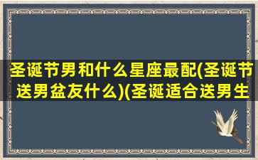 圣诞节男和什么星座最配(圣诞节送男盆友什么)(圣诞适合送男生什么礼物)