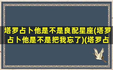 塔罗占卜他是不是良配星座(塔罗占卜他是不是把我忘了)(塔罗占卜他是不是渣男)