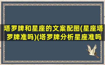 塔罗牌和星座的文案配图(星座塔罗牌准吗)(塔罗牌分析星座准吗)