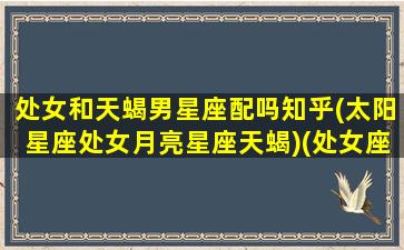 处女和天蝎男星座配吗知乎(太阳星座处女月亮星座天蝎)(处女座女生和天蝎男在一起怎么样)