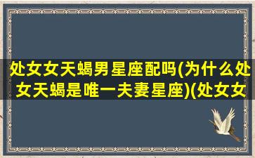 处女女天蝎男星座配吗(为什么处女天蝎是唯一夫妻星座)(处女女和天蝎男星座最配)