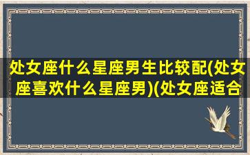 处女座什么星座男生比较配(处女座喜欢什么星座男)(处女座适合哪种男生)