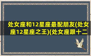 处女座和12星座最配朋友(处女座12星座之王)(处女座跟十二星座配对指数)