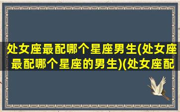 处女座最配哪个星座男生(处女座最配哪个星座的男生)(处女座配对什么星座的男生)