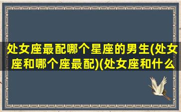 处女座最配哪个星座的男生(处女座和哪个座最配)(处女座和什么星座男最配对)