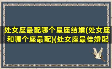 处女座最配哪个星座结婚(处女座和哪个座最配)(处女座最佳婚配星座是哪个星座)